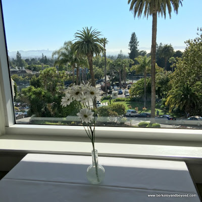 view from Meritage at the Claremont Club & Spa, a Fairmont Hotel in Berkeley, California