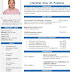 12 examples of resumes { doc }