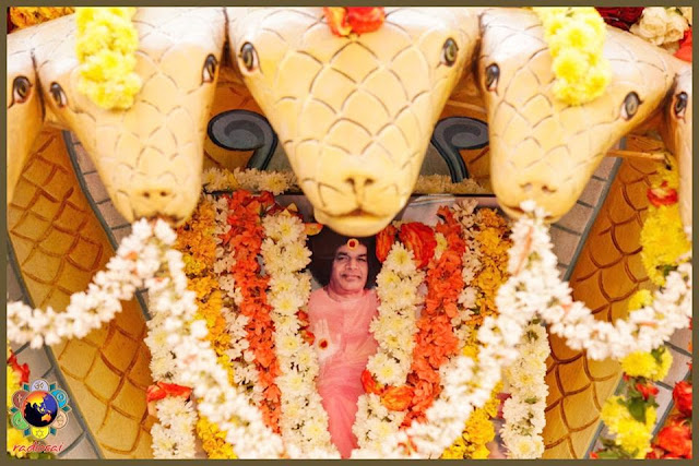 10670126_751152964973844_974529141959613