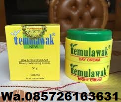http://creamtemulawakoriginalhologram.blogspot.co.id/2017/12/manfaat-cream-efek-samping-cream.html