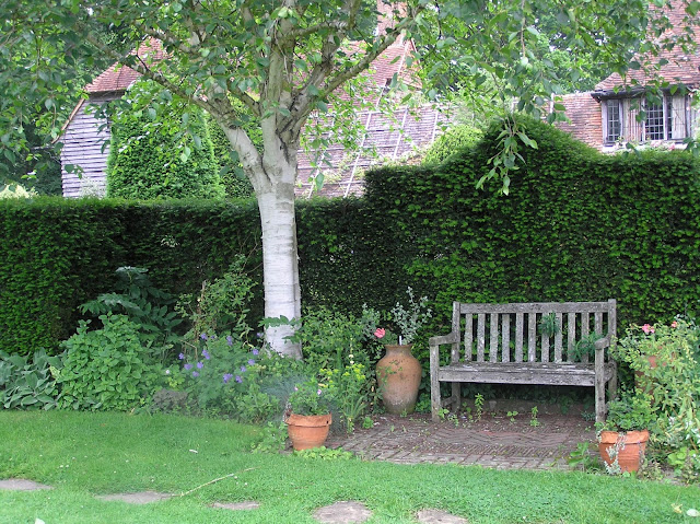 żywopłot z cisa, drewniana ławka, ogród angielski
