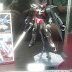 C3 X Hobby 2012: MG 1/100 Gundam AGE-2DH Dark Hound
