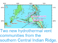 https://sciencythoughts.blogspot.com/2012/03/two-new-hydrothermal-vent-communities.html