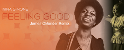 nina simone feeling james mp3 remix