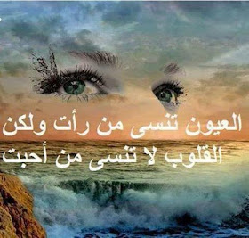 9328204d70f4790dd2d35cd47adf66ef