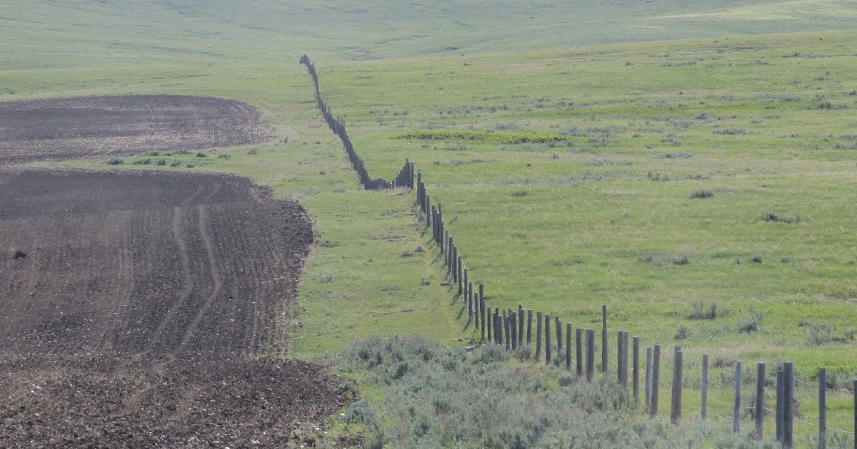 Trevor Herriot's Grass Notes Grassland loss in Saskatchewan by the numbers