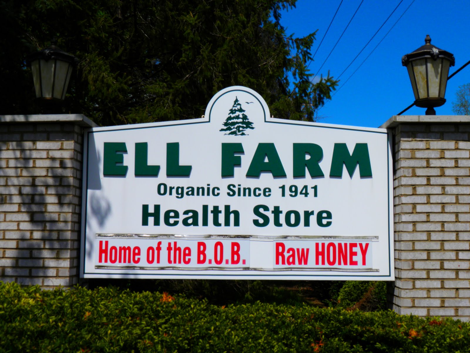 KNUCKLEHEAD Ell Farm