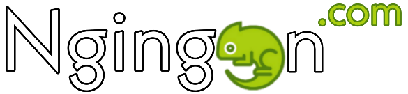 Ngingon.Com