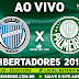 Assistir Godoy Cruz x Palmeiras Ao Vivo 23/07/2019