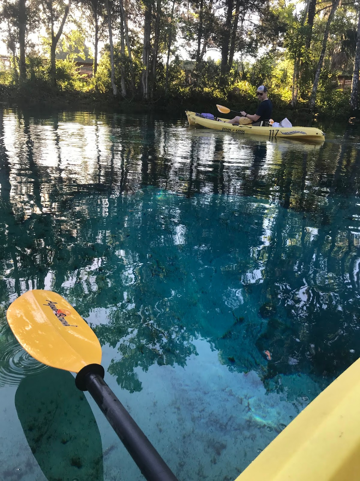 Making Restorations: Manatee Kayaking in Crystal River Florida