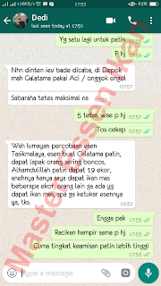 Master Umpan Ikan Patin Master Umpan Ikan Patin