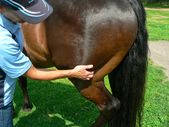 Things I didn’t know were things