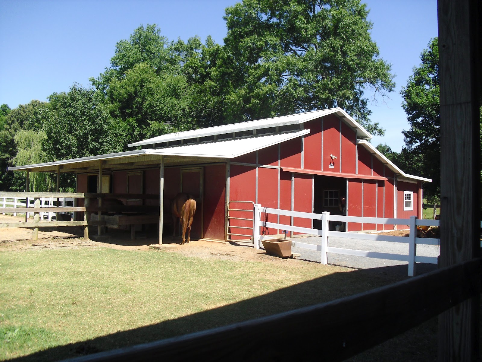Wildflower Bouquets Enjoy Simple Pleasures Saving Grace Farm in