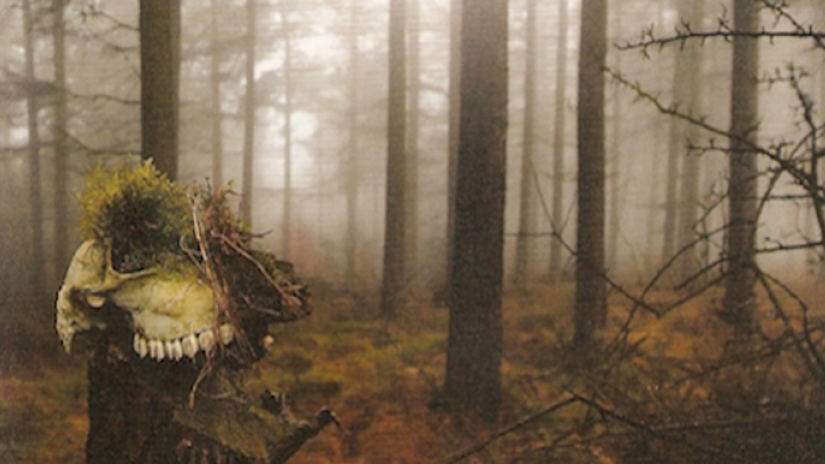 DARKMATTERS - The Mind Of Matt: Darkmatters Review: The Ritual