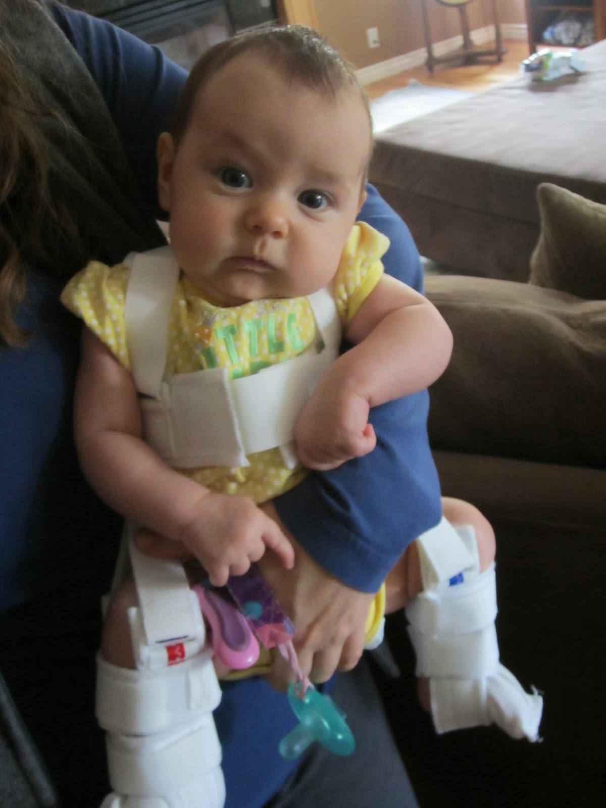 Our Life with 13 Kids * ** Baby Harness