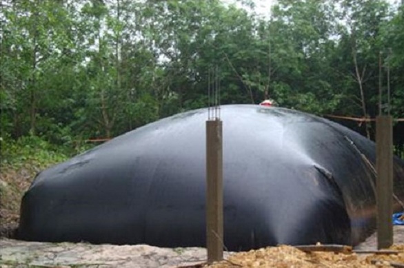 Sự tất yếu của hầm biogas HDPE với kinh tế chăn nuôi Ham-biogas-hdpe-dang-tui-310816