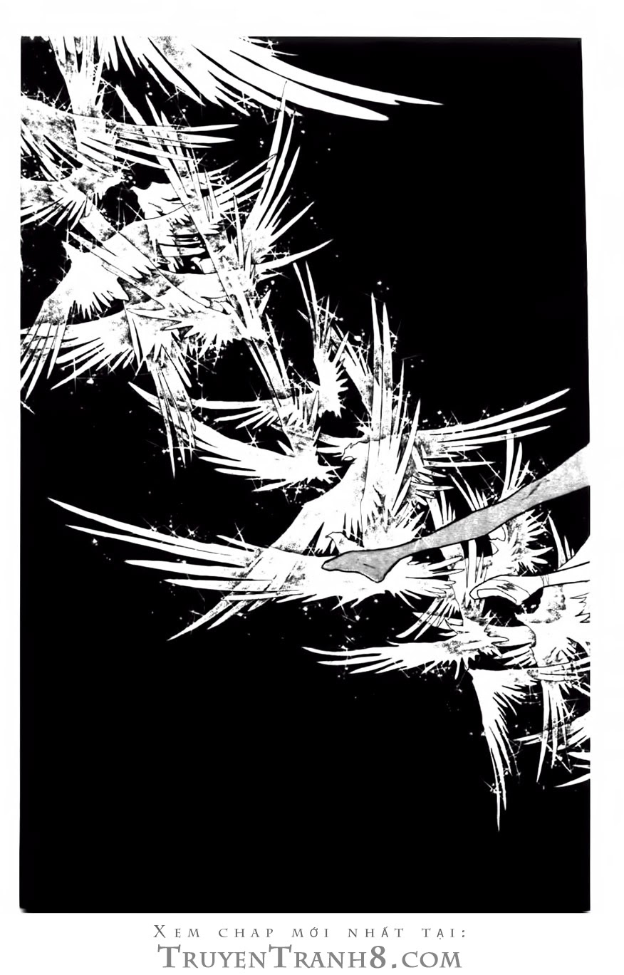 Swan - Vũ Khúc Thiên Nga Chap 81 - Next Chap 82