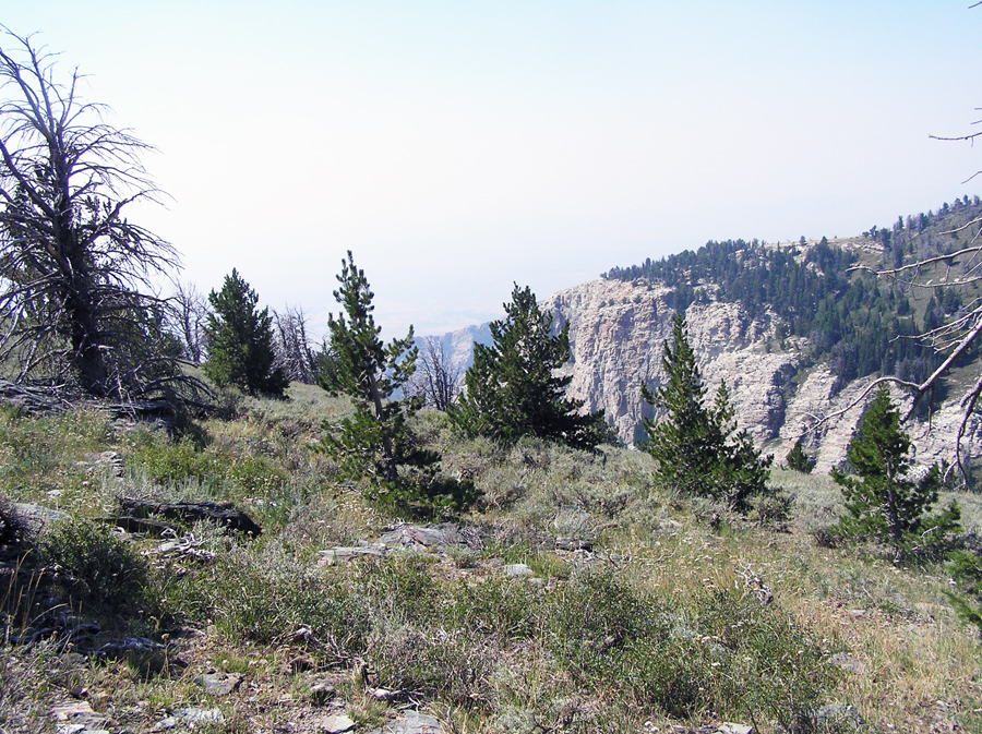 Forever Lois Fall trip through Yost, Utah