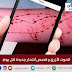 الحوت الأزرق و قصص أنتحار جديدة كل يوم!!