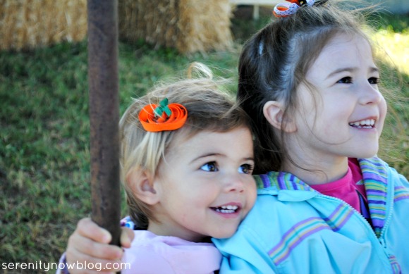 Fall Pumpkin Patch Pictures, Serenity Now blog