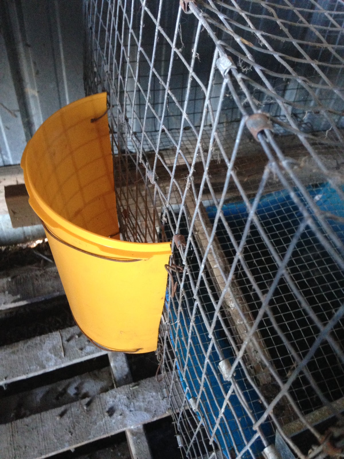 Modern Missouri Pioneers Recycle and ReUse for Rabbit Hay Feeders