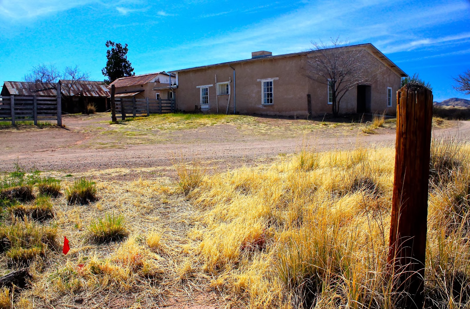 Wandering w/ Serenity Empire Ranch