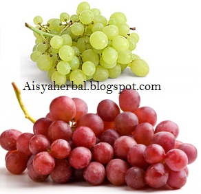 aisyah herbal: manfaat buah anggur | manfaat sari kurma