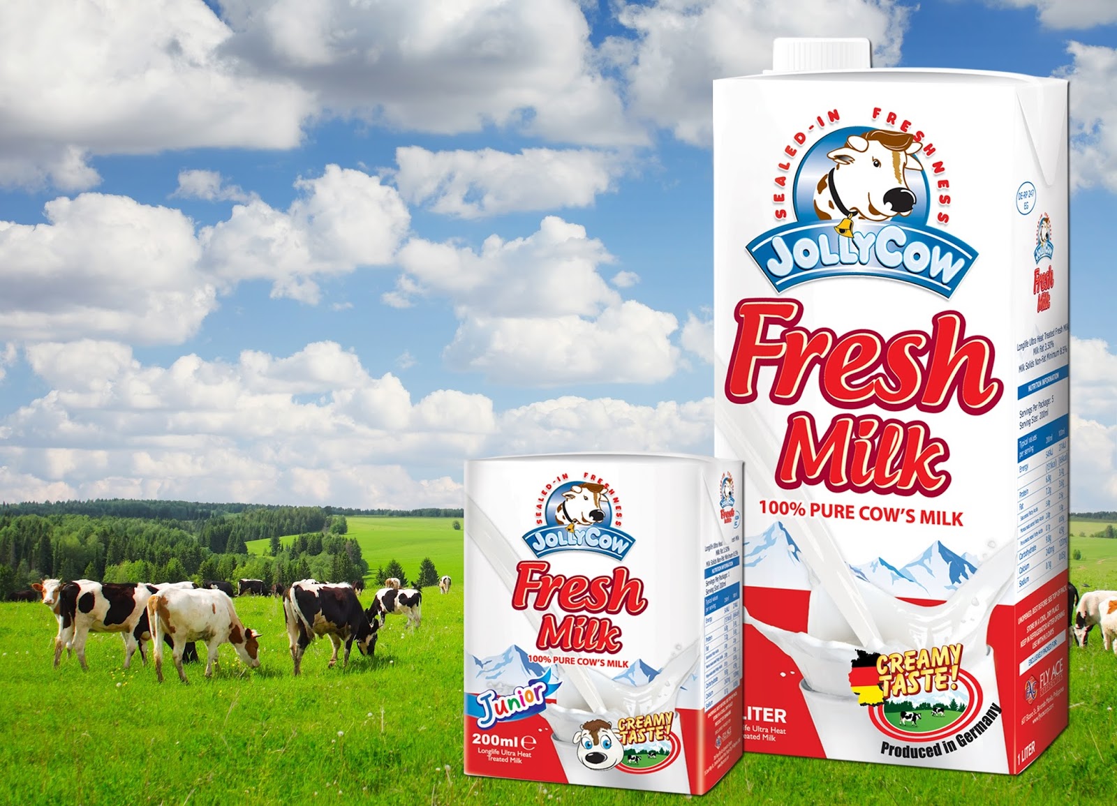 Jolly Cow Fresh Milk Made From Happy and Healthy Cows Fly Ace
