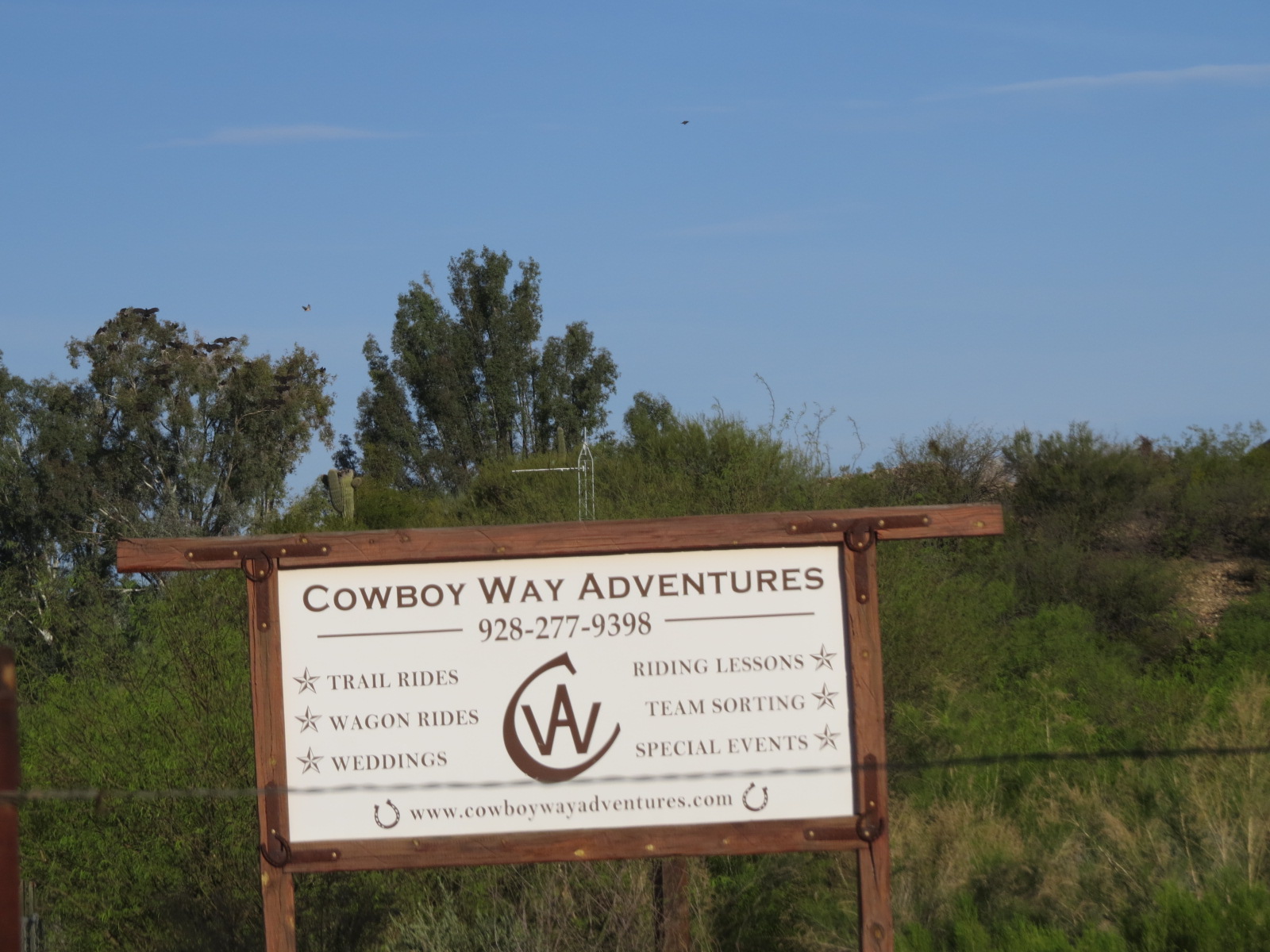 Where's Liz? 2016 Horseback Riding in Wickenburg, AZ