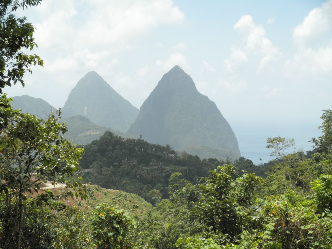 French Vocabulary Illustrated piton