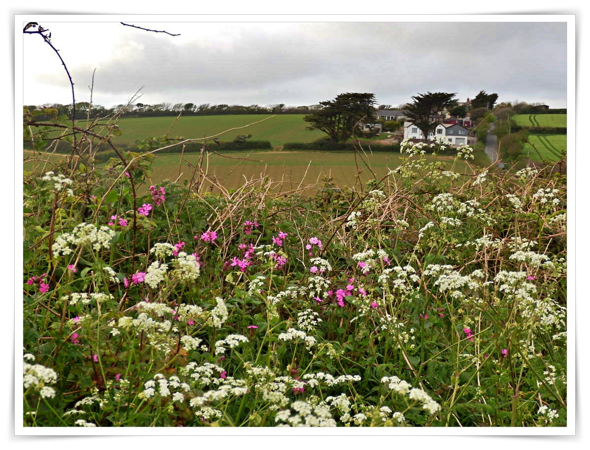 Mike's Cornwall Cottages, Green Fields, Coastal Views and Farm Animals