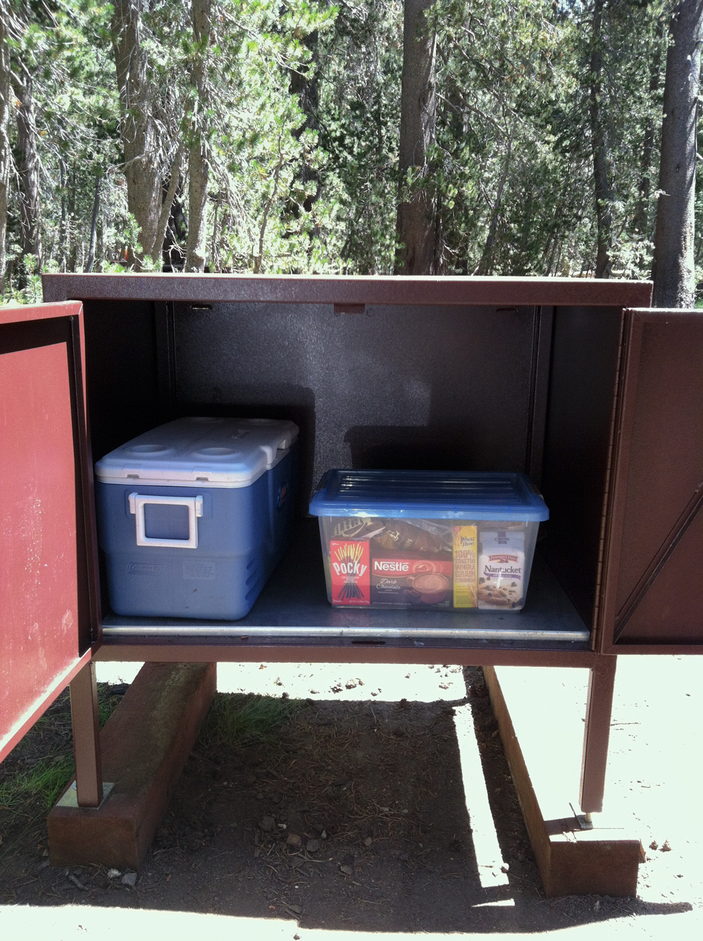 the mikereport Yosemite Campground Bear Box