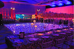 wedding venues stunning reception cook aquarium georgia halls venue event events atlanta lana jared dadar tiffany weddings planned corporate lounge