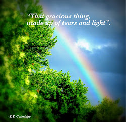 quotes rainbows rainbow quotesgram