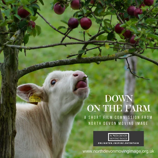 Down on the Farm - A North Devon Short Film Commission