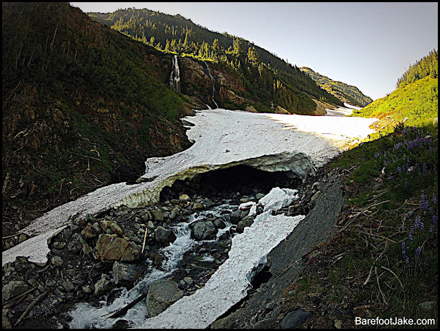 elwha snow finger