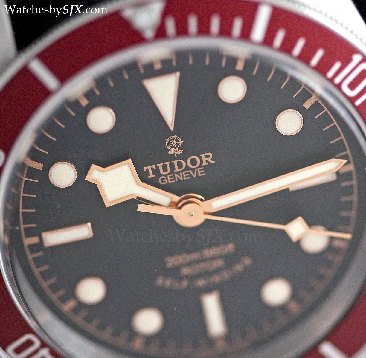 Tudor+Black+Bay+dial+detail+%25284%2529.jpg