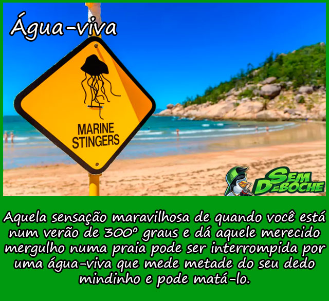 ÁGUA-VIVA ÁGUA-VIVA