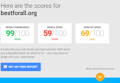 Mobile Website Speed Test Report From Google