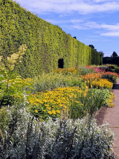 Garden walled by a giant hedge at the Royal Botanic Garden Edinburgh