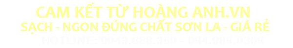 HOTLINE