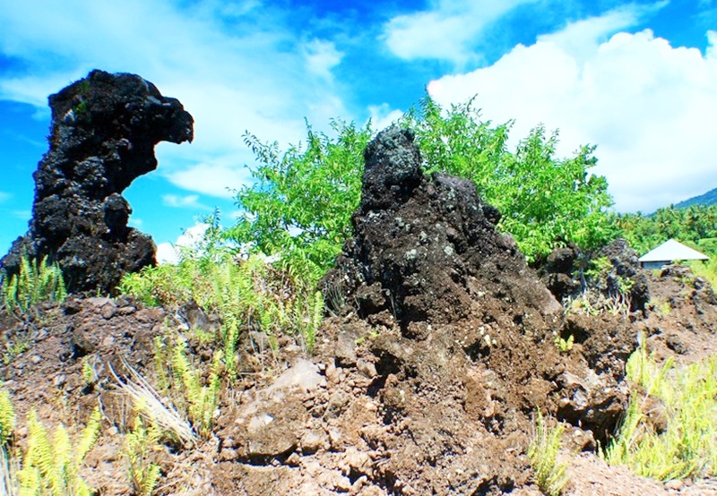 Rute Taman Wisata Alam Batu Angus Cagar Alam Duasudara Kota Rute Taman Wisata Alam Batu Angus Cagar Alam Duasudara Kota