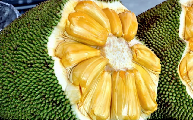 Mengencangkan Kulit Keriput dengan Buah Nangka rumpibanget.blogspot.com