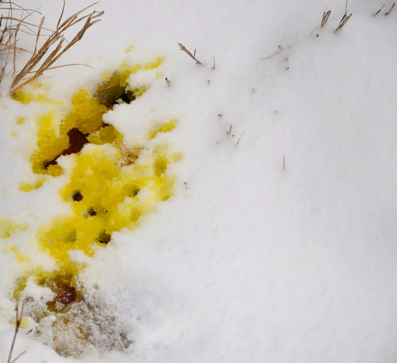 Digital Dynamic These 2 Things were absolute garbage this Christmas...