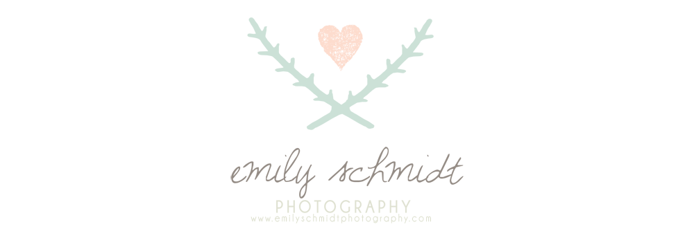Emily Schmidt Photography