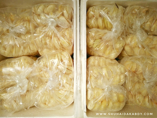 Kelapa Laut Man Java | Open Order Pasar Ramadhan 2019 Kelapa Laut Man Java | Open Order Pasar Ramadhan 2019, Kelapa Laut Man Java, Kelapa Laut