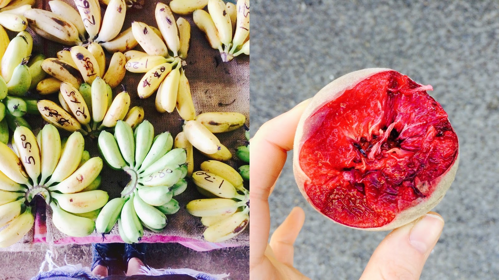 How to eat healthy while traveling & road-tripping