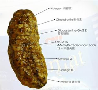 Cara Mudah Mengobati Gastritis Akut Cara Mudah Mengobati Gastritis Akut