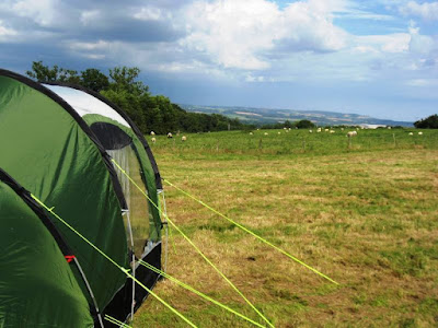 View of sheep, hills and sky from my tent
