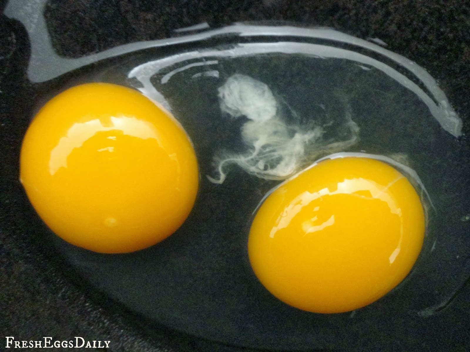 Что будет если съесть сырое яйцо. Глисты в яйцах куриных яйцах. Гельминты в курином яйце. Могут быть глисты в яйцах куриных.